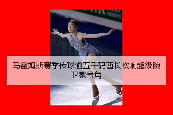 马霍姆斯赛季传球逾五千码酋长吹响超级碗卫冕号角